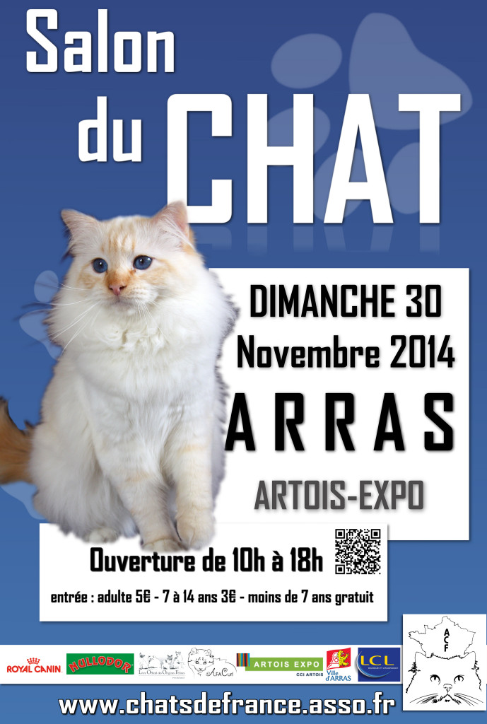 CHAT 689x1024 