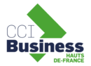 logo CCI Business HDF