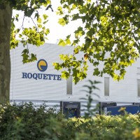 030_SANTES_VDM_Roquette_feuillage 030_SANTES_VDM_Roquette_feuillage